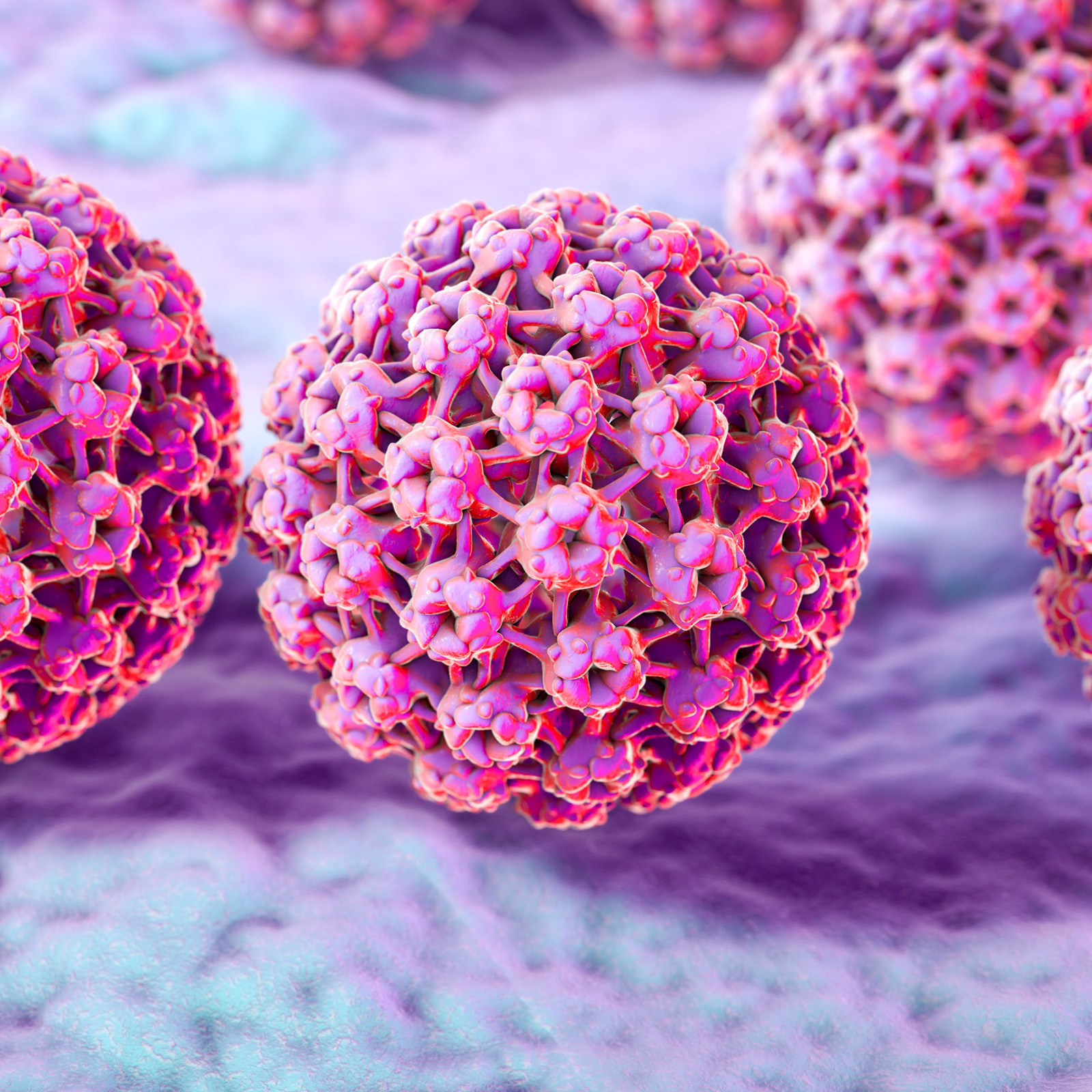 زگیل تناسلی(HPV)